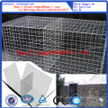 Cages soudées de Gabion / maille soudée de Gabion pour le mur